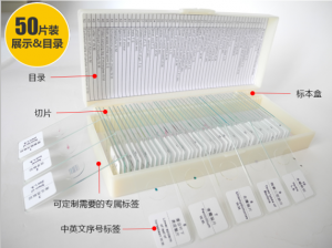 石家莊50種混合類動植物生物切片套裝
