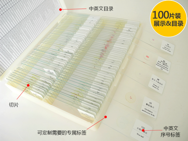 100種混合類動植物生物切片套裝