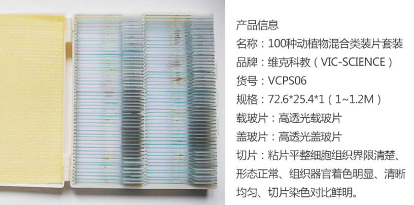 100種混合類動植物生物切片套裝