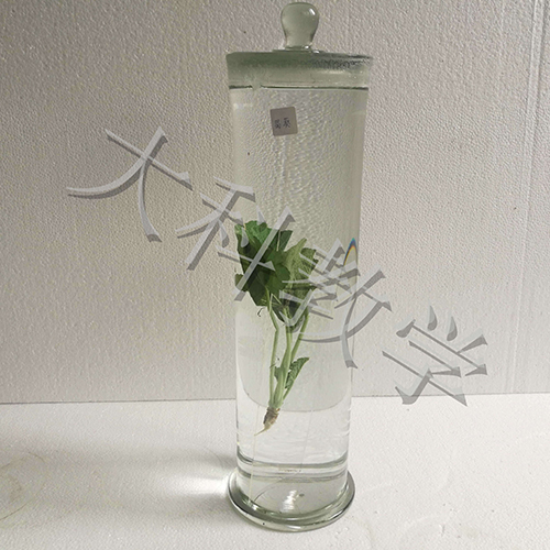 植物標本廠家